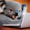 acidicoala’s gists · GitHub.